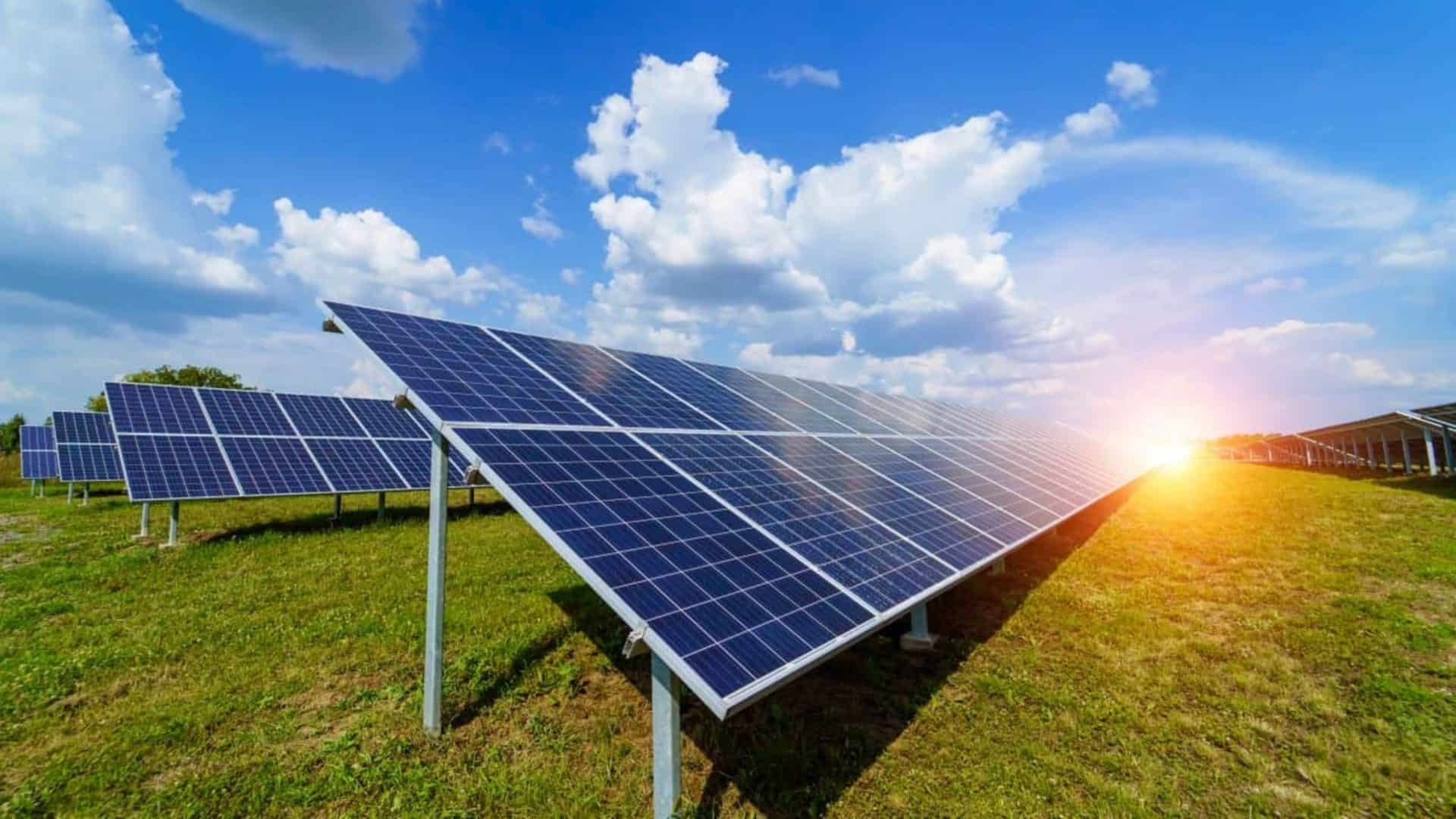 Painéis solares: como escolher o modelo ideal e maximizar sua economia